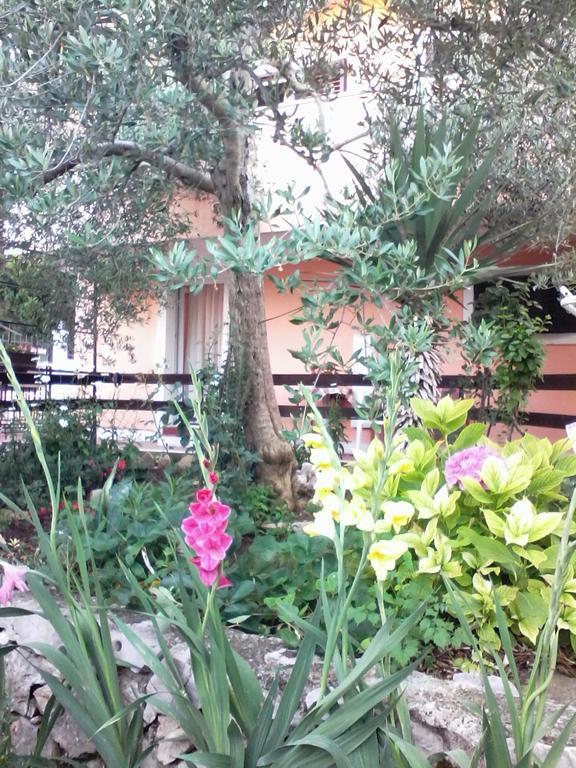 Apartments Vendi Sibenik Ngoại thất bức ảnh